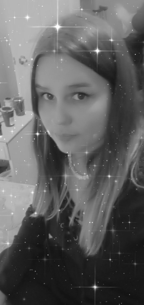 Nim model high quality image