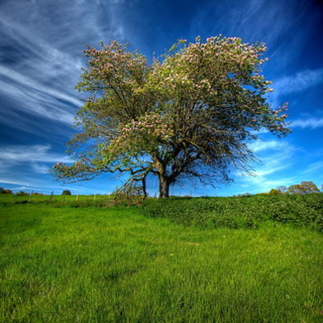 Lucifer amp amp Eve model pretty pics