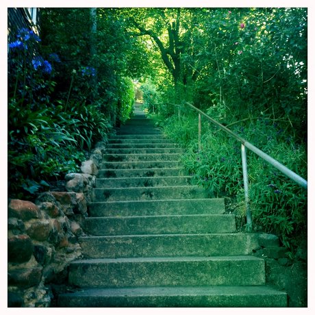 Brogan Daly adult model picture