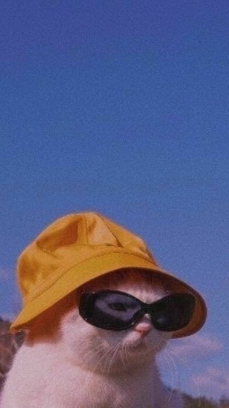 nuriadelavega pornstar hd pics