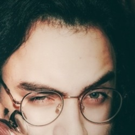 ficcs pornographic model img