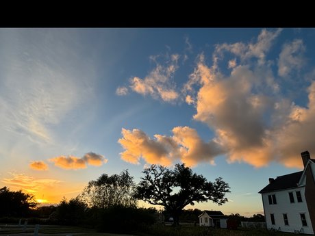 _Queen Ari_ free pornstar archive