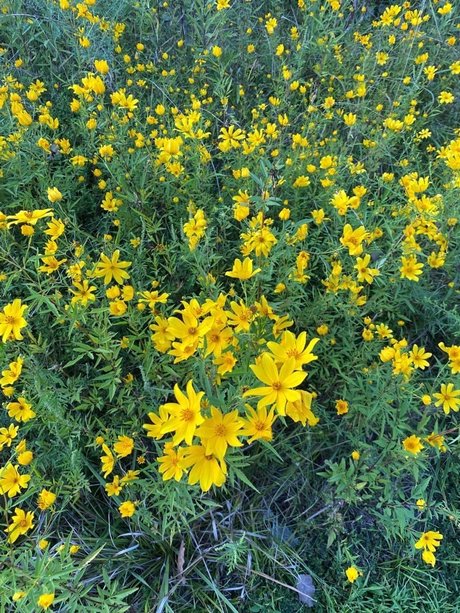 Joe Nathan erotic pornstar pics