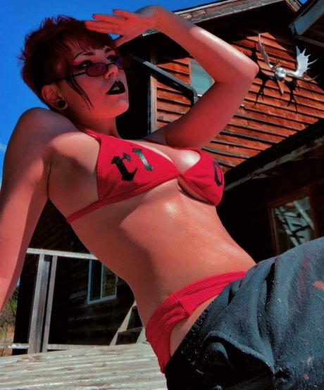 ashpit top star picture