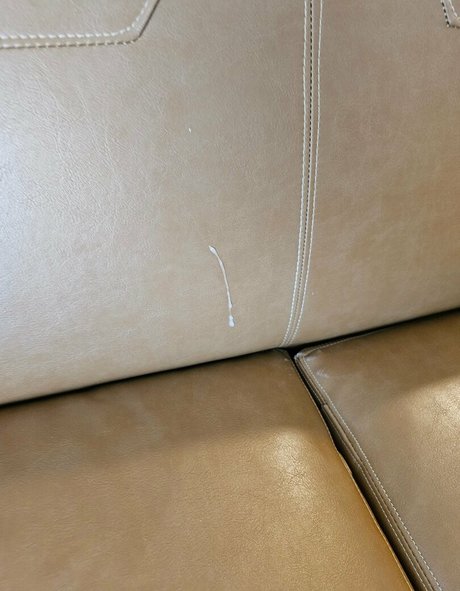 debaucherydesired star best pic