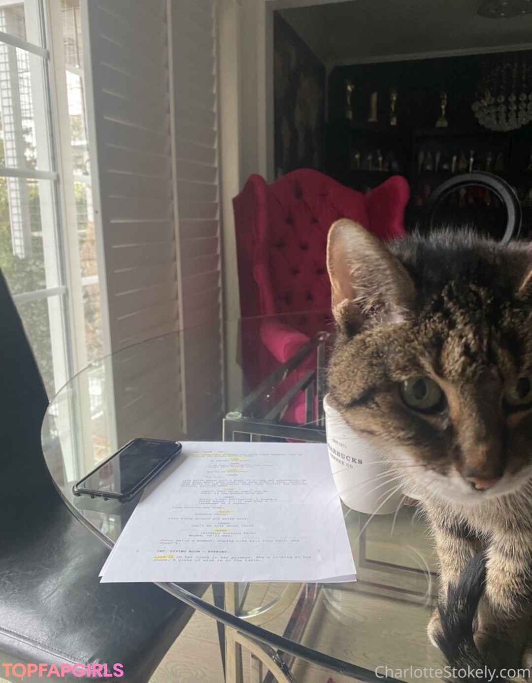 char stokely star erotic img