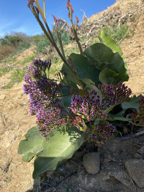 Fun fun pornstar pretty photos