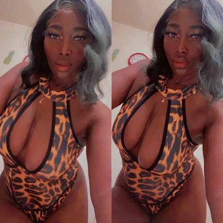 Chocolate Stallion_ porn star image