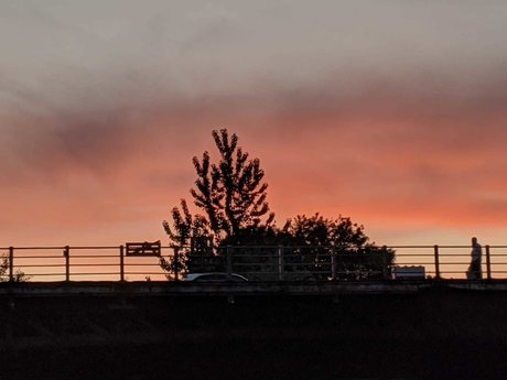 Skylar Rain porn star image