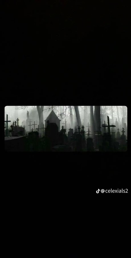 Luka Rose hd star image