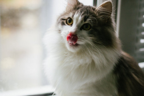 Mary Anne KYC pornstar best images