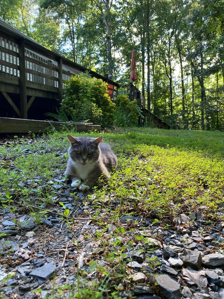 Madonnamashed model adult picture