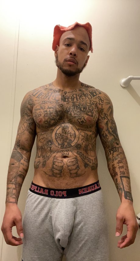 Mr North erotic actress archive