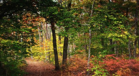 zachhh hd star photo