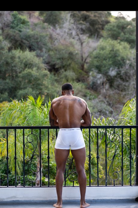 C amp amp THE COCOA FACTORY_ pornographic model pictures