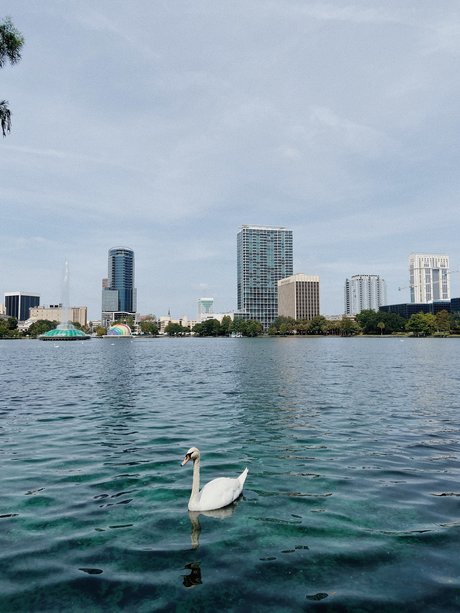 Spritzdad nudes star photo