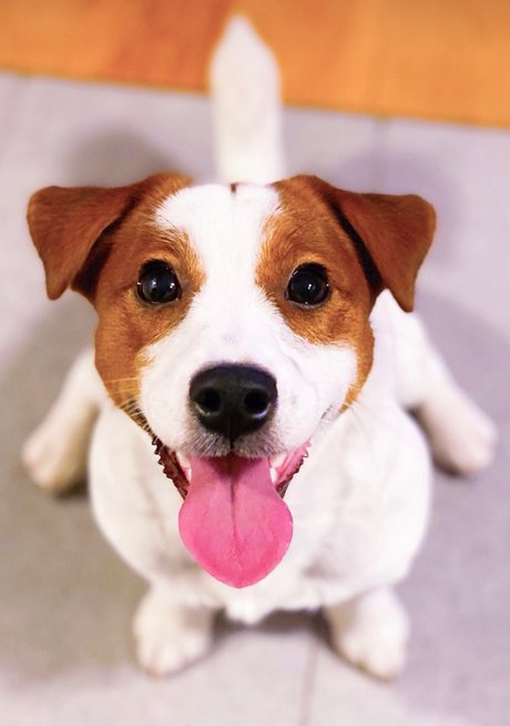 Winyl pornstar nice archive