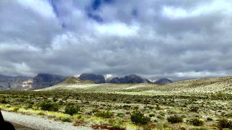 eBlood SiSK model pretty image