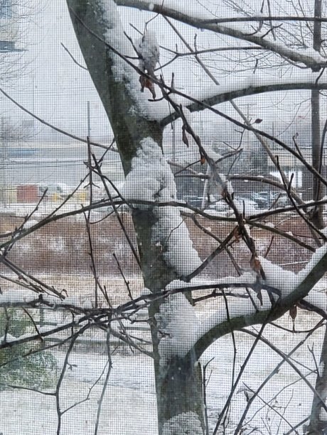 Norway pornstar hd pics