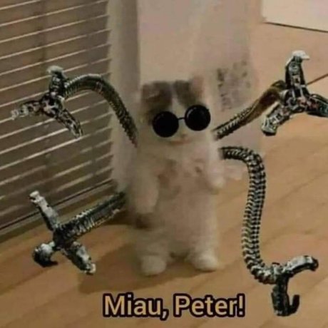 u63856170 model beautiful pic