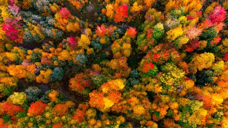 The Couple Next Door model nice pic