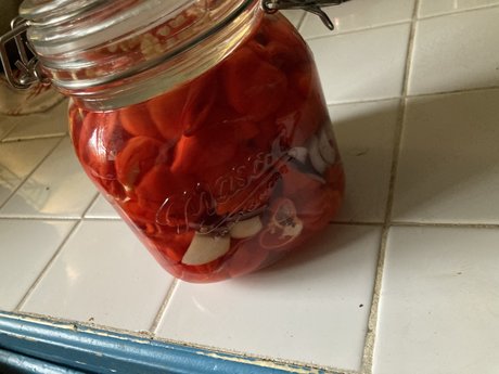 GingerRoot perfect pornstar image