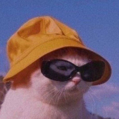 tittyqueen63 model sexy gallery