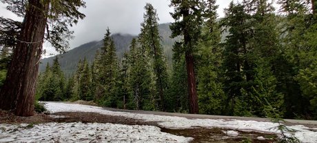 Divine Goddess PNW perfect model pic