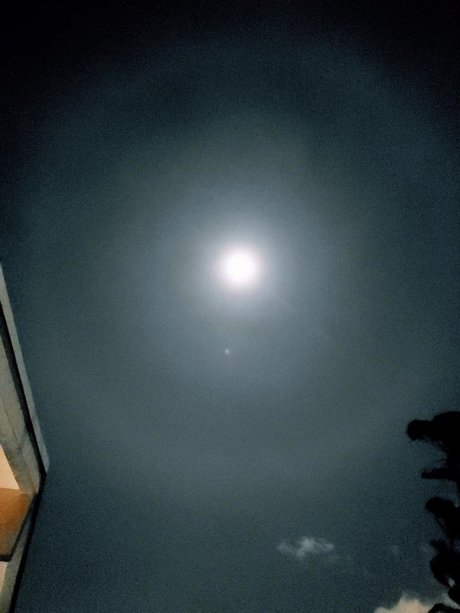 Goku Black pornstar nice archive