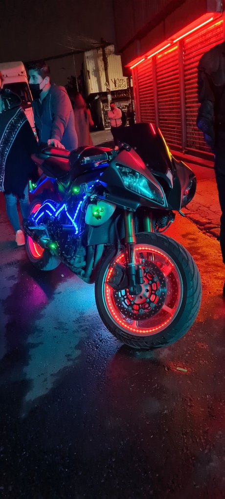 Joseph Haygen porn actress gallery