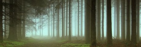 Zexion006 free star gallery