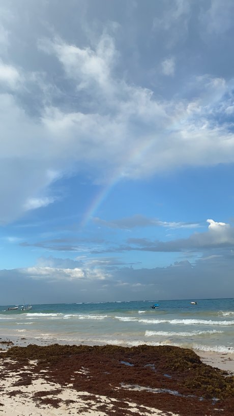 TRAIN WITH ALI pornstar erotic images