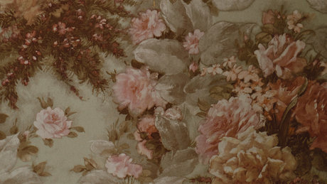 sydney shea pornographic star gallery