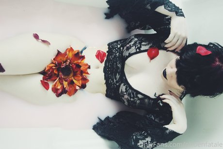 Phoenfatale art model pictures