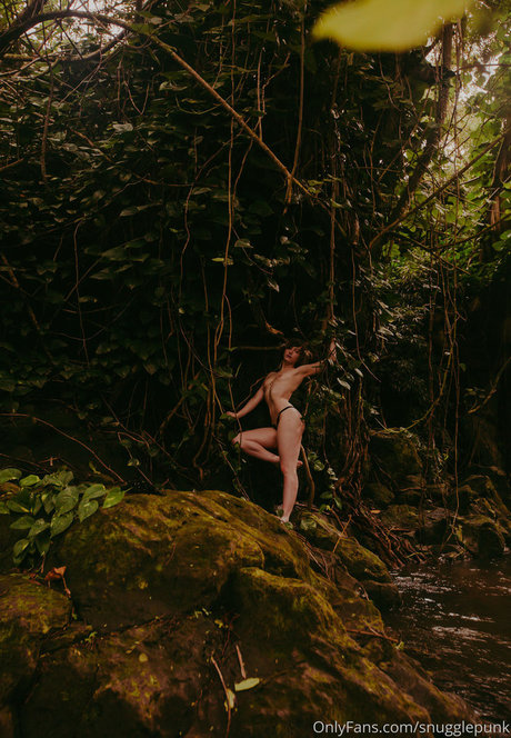 Snugglepunk star exclusive img