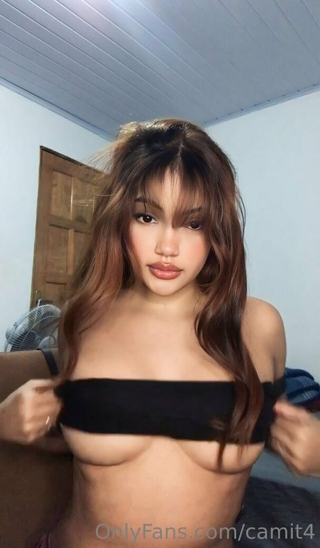 Camitor4 star nice pics