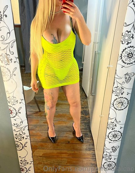 pamelafalcao adult model img