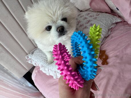 xxxriley beautiful actress img