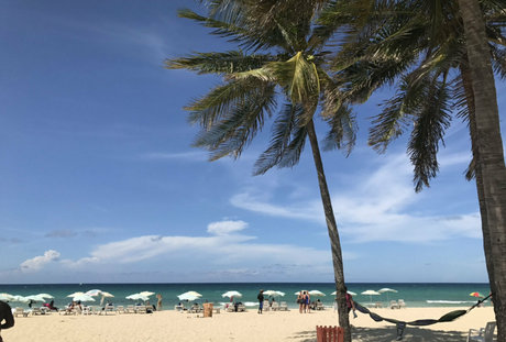 hungry4moore exclusive star img