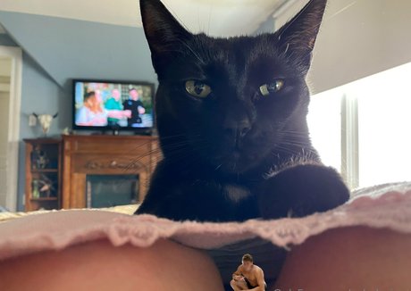 qsladygiant star high quality picture