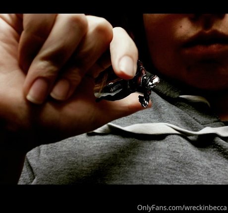 wreckinbecca best model archive