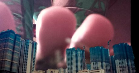 wreckinbecca pornstar best images