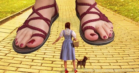 wreckinbecca star exclusive galleries