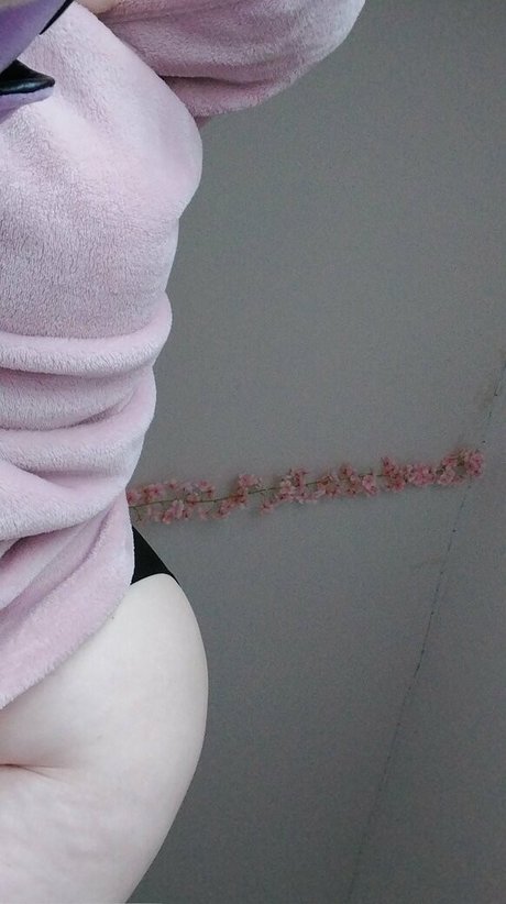 urlilsuccubus star art archive