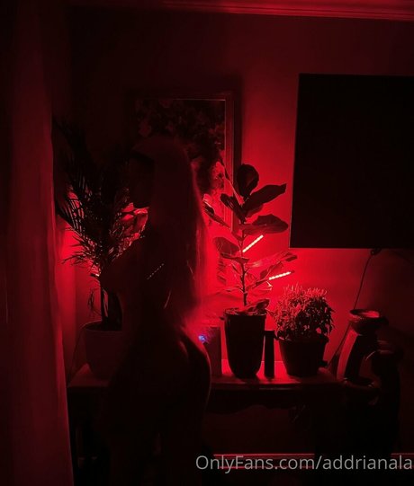 addrianala pretty star picture