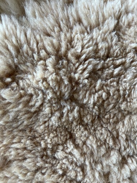 Longtoelola free pornstar picture