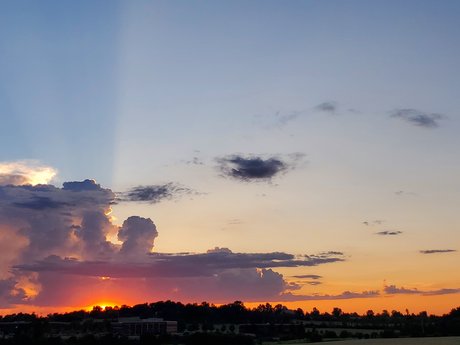 Peach Buzz sexy model gallery