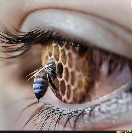 Toastmeister00 sexy actress pic