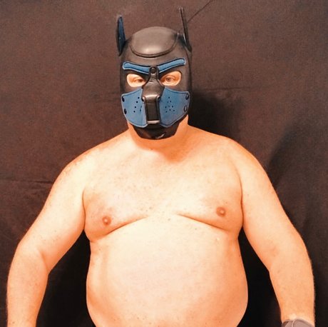 Rick Bear Pup Dancer thumbnail