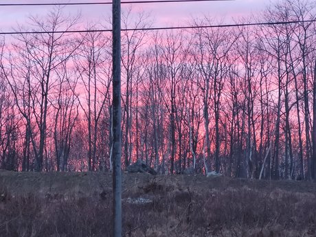 Pocky Kitty star top galleries